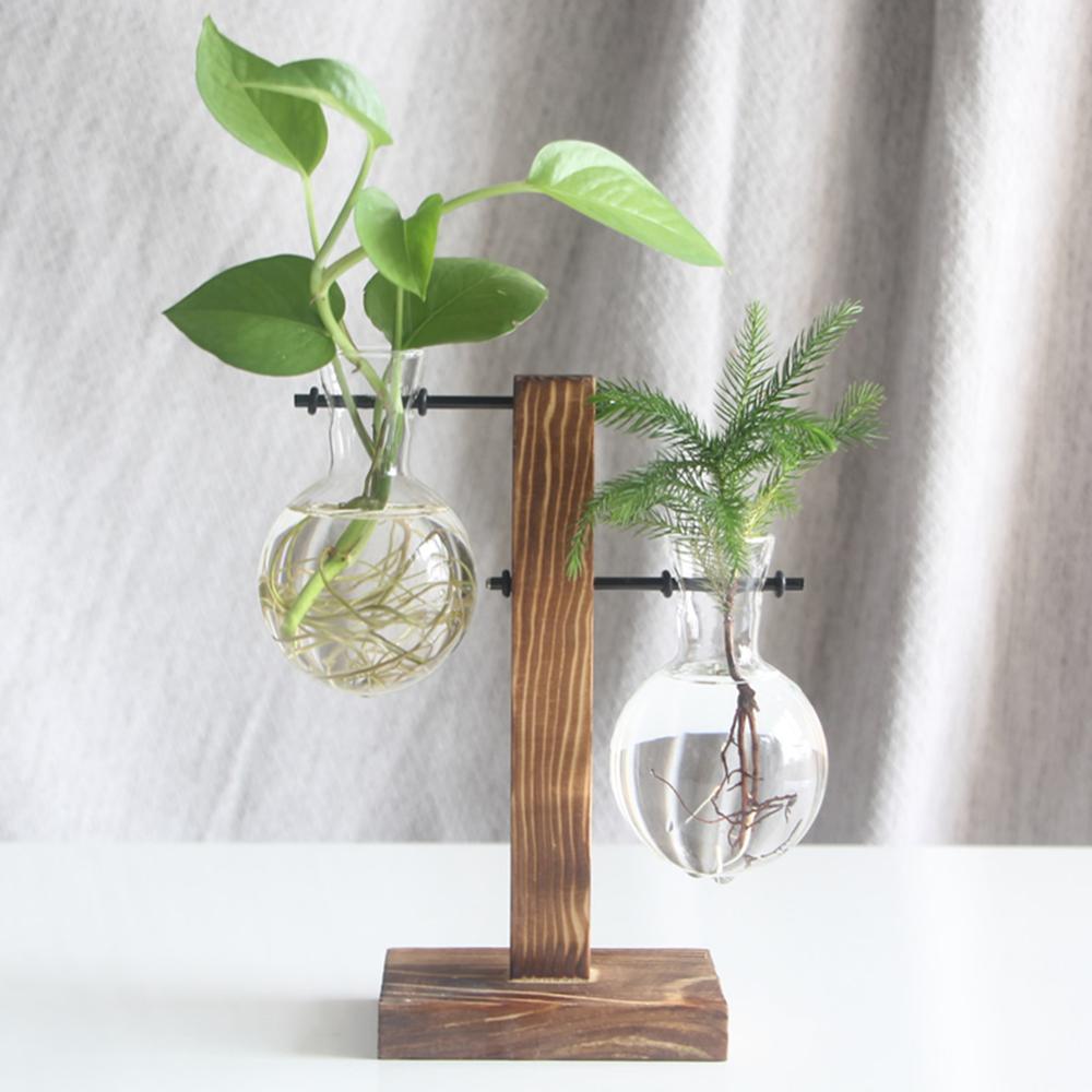 Glass Air Plant Holder for Desk