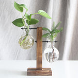Glass Desk Plant Holder