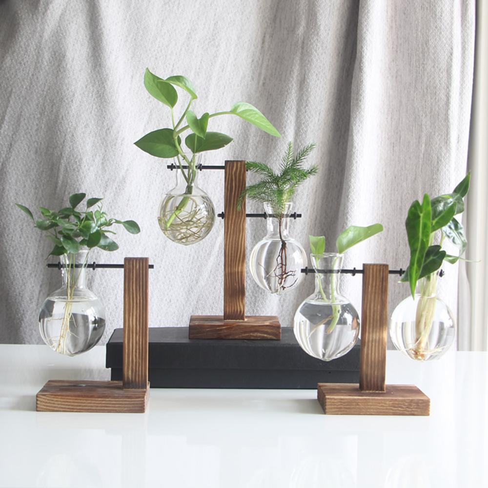 Glass Air Plant Holder for Desk