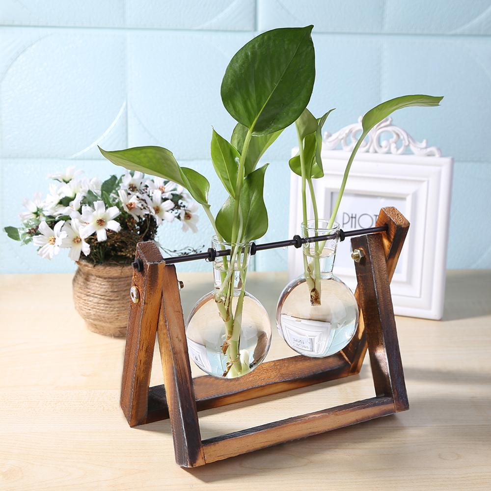 Glass Air Plant Holder for Desk