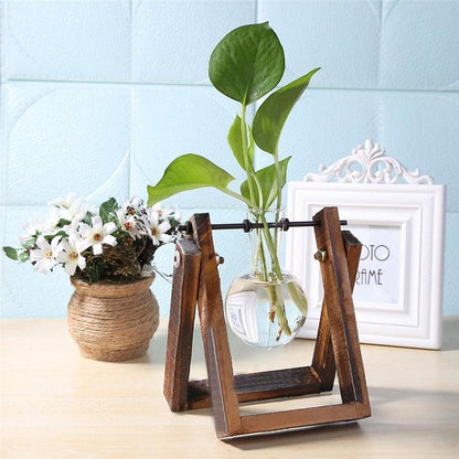 Glass Air Plant Holder for Desk