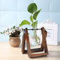 Glass Desk Plant Holder