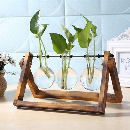 Glass Air Plant Holder for Desk