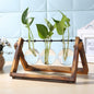 Glass Desk Plant Holder