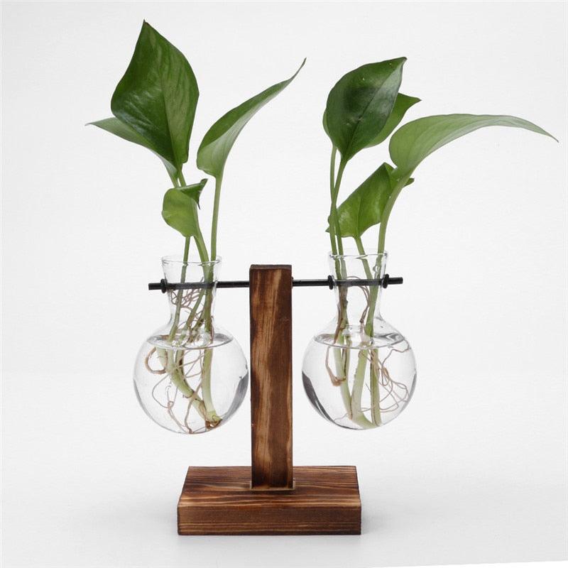 Glass Air Plant Holder for Desk