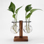 Glass Desk Plant Holder