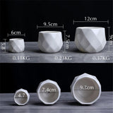 Geometric Ceramic Pot Plant Growing Pot