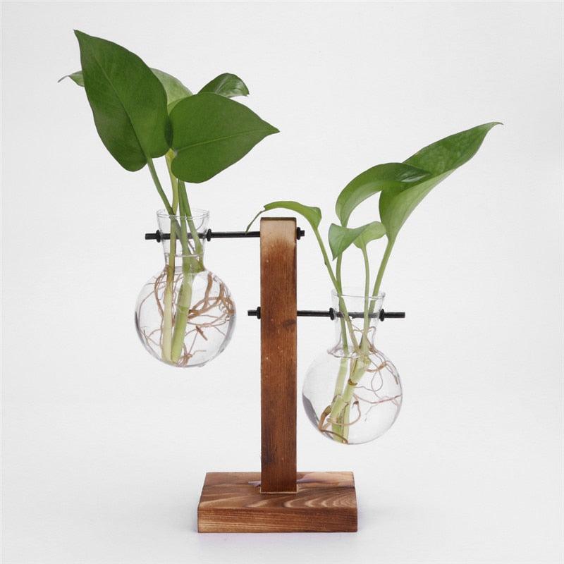 Glass Air Plant Holder for Desk