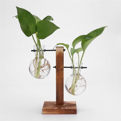 Glass Air Plant Holder for Desk