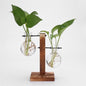 Glass Desk Plant Holder