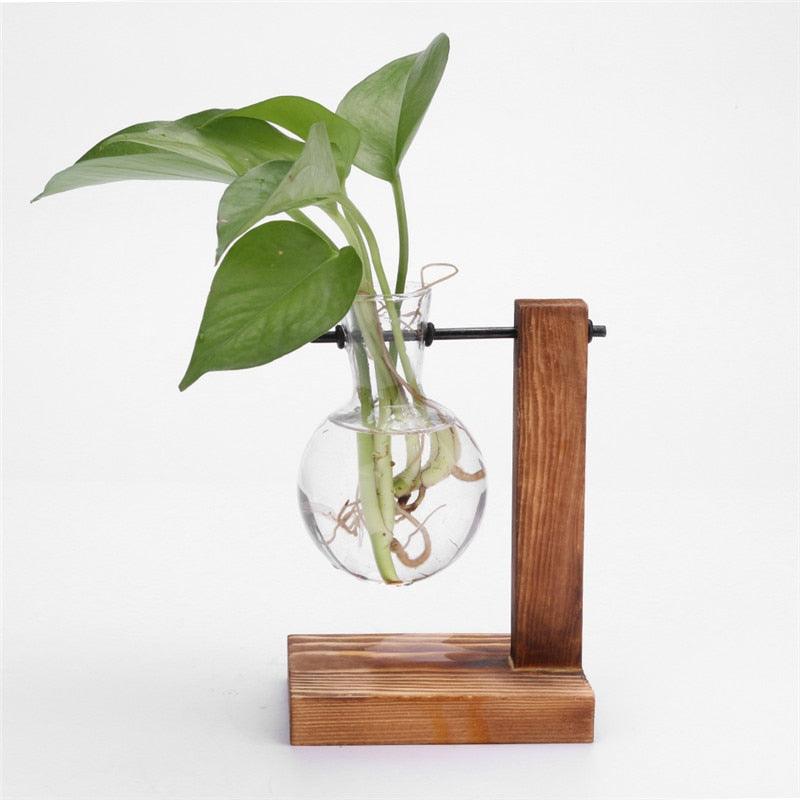 Glass Air Plant Holder for Desk
