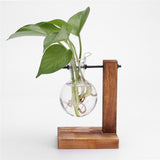 Glass Desk Plant Holder