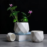 Geometric Ceramic Pot Plant Growing Pot