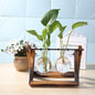 Glass Desk Plant Holder