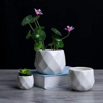 Geometric Ceramic Pot Plant Growing Pot