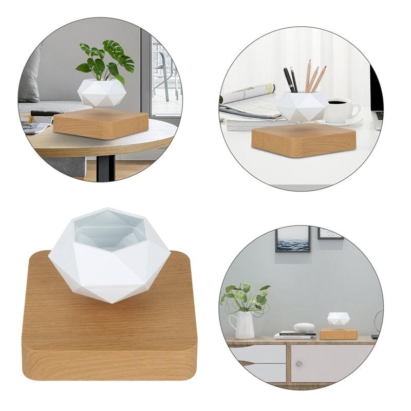 Floating Geometric Plant Hovering Floating Decor