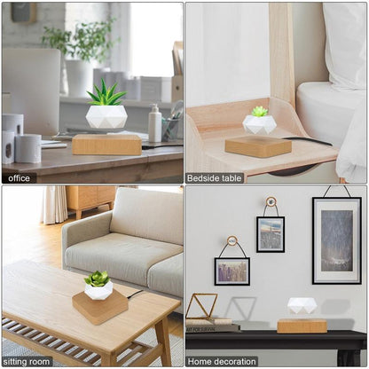 Floating Geometric Plant Hovering Floating Decor