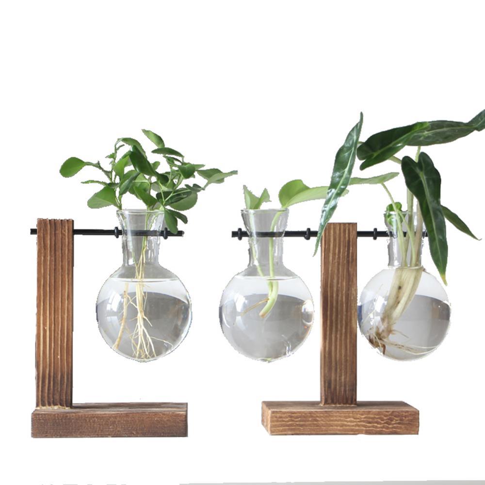 Glass Air Plant Holder for Desk