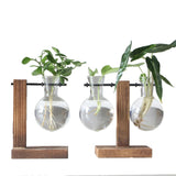 Glass Desk Plant Holder