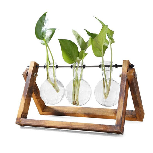 Glass Desk Plant Holder