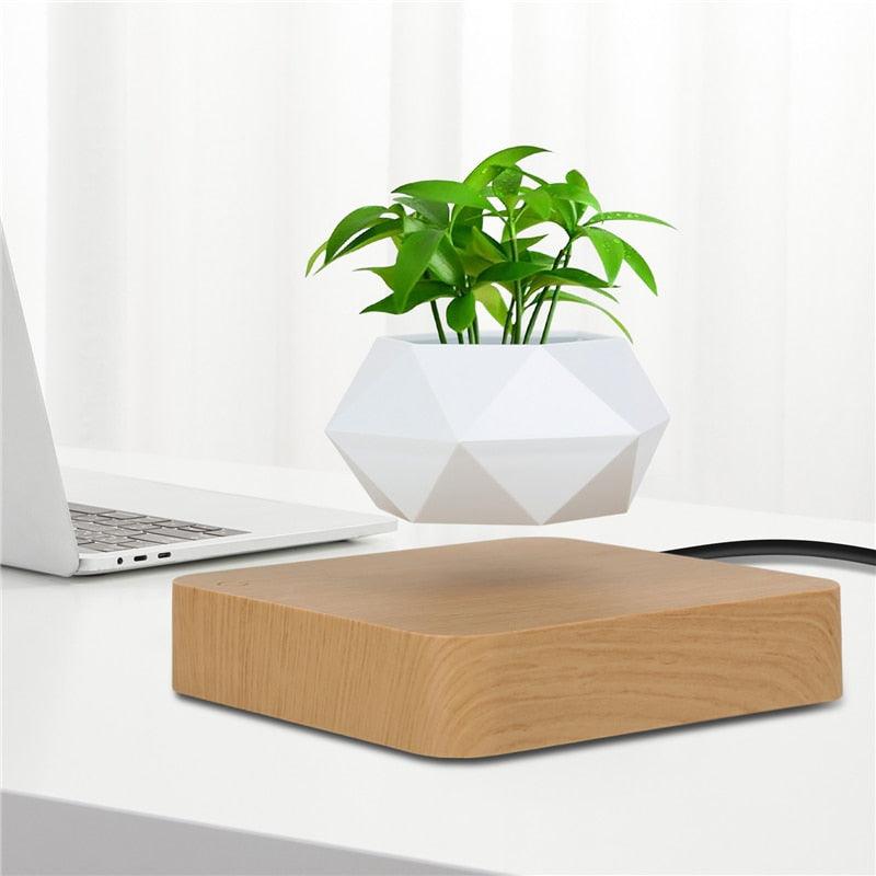 Floating Geometric Plant Hovering Floating Decor