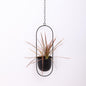 Hanging Metal Oval Planter