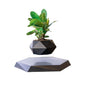 Floating Geometric Plant Hovering Floating Decor