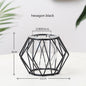 Geometric Plant Holder Mini Metal Tabletop