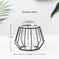 Geometric Plant Holder Mini Metal Tabletop